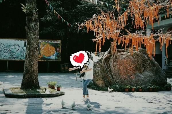 山东儒辰主场迎来劲敌上海，鲁沪对决今日一触即发