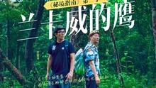拯救树屋中的女孩
