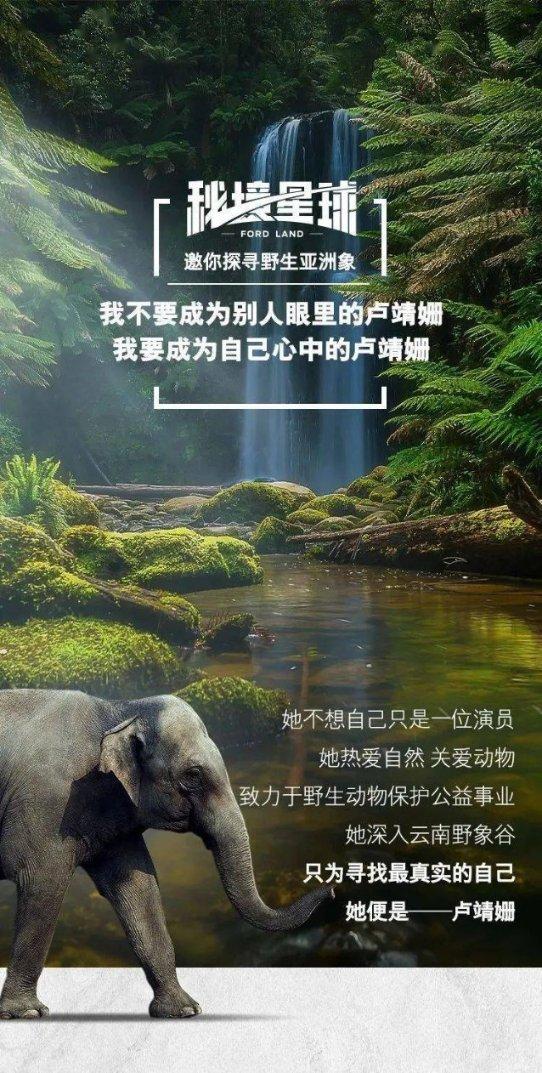 逃离神秘老林