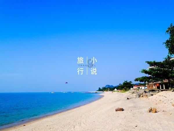 虫虫助手下载