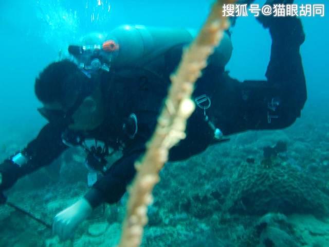 中注协针对商誉减值的审计发布问题解答