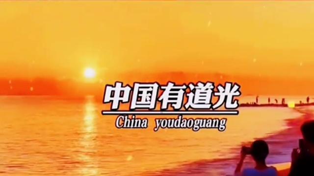 五彩鹦鹉救援