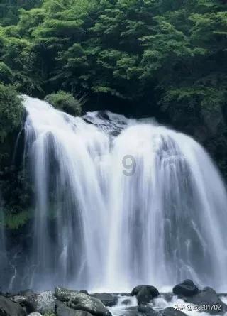 历史上的魏延是怎样的人？他为什么不被诸葛亮重用？