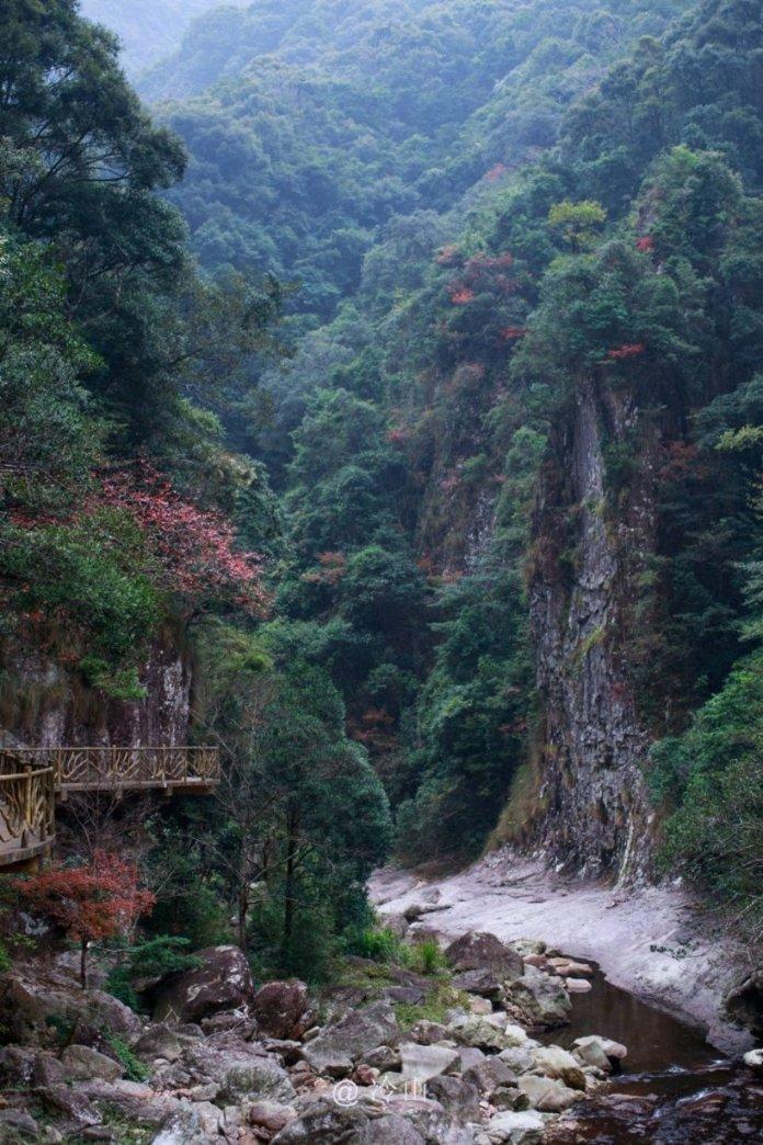 植物大战僵尸13
